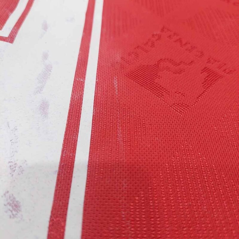 1994 – 95 PIACENZA HOME PLAYER ISSUE SHIRT #9 - Image 4