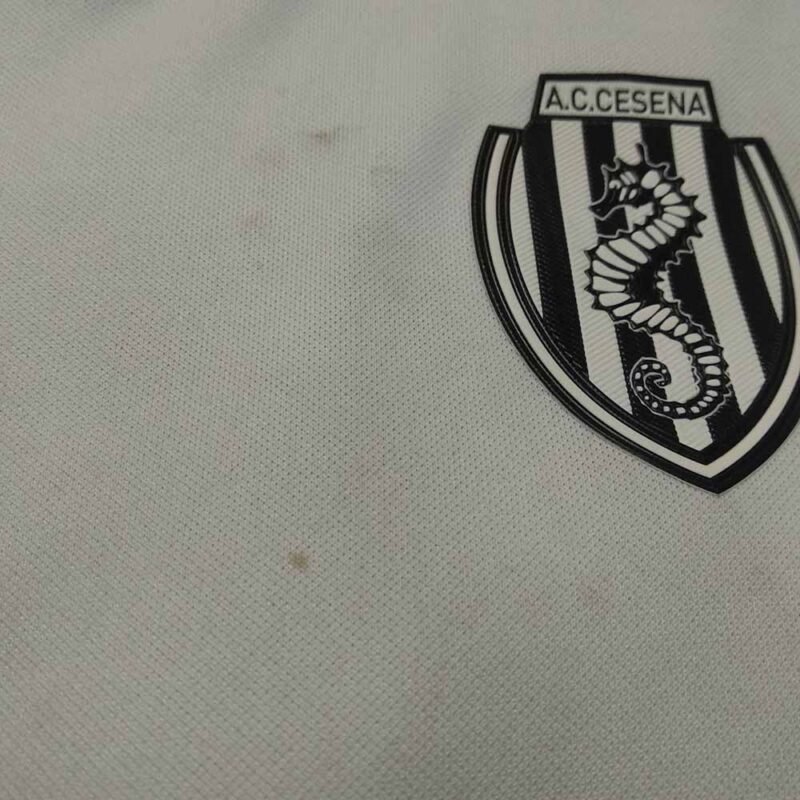 2012 – 13 CESENA HOME MATCH WORN SHIRT TONUCCI - Image 5