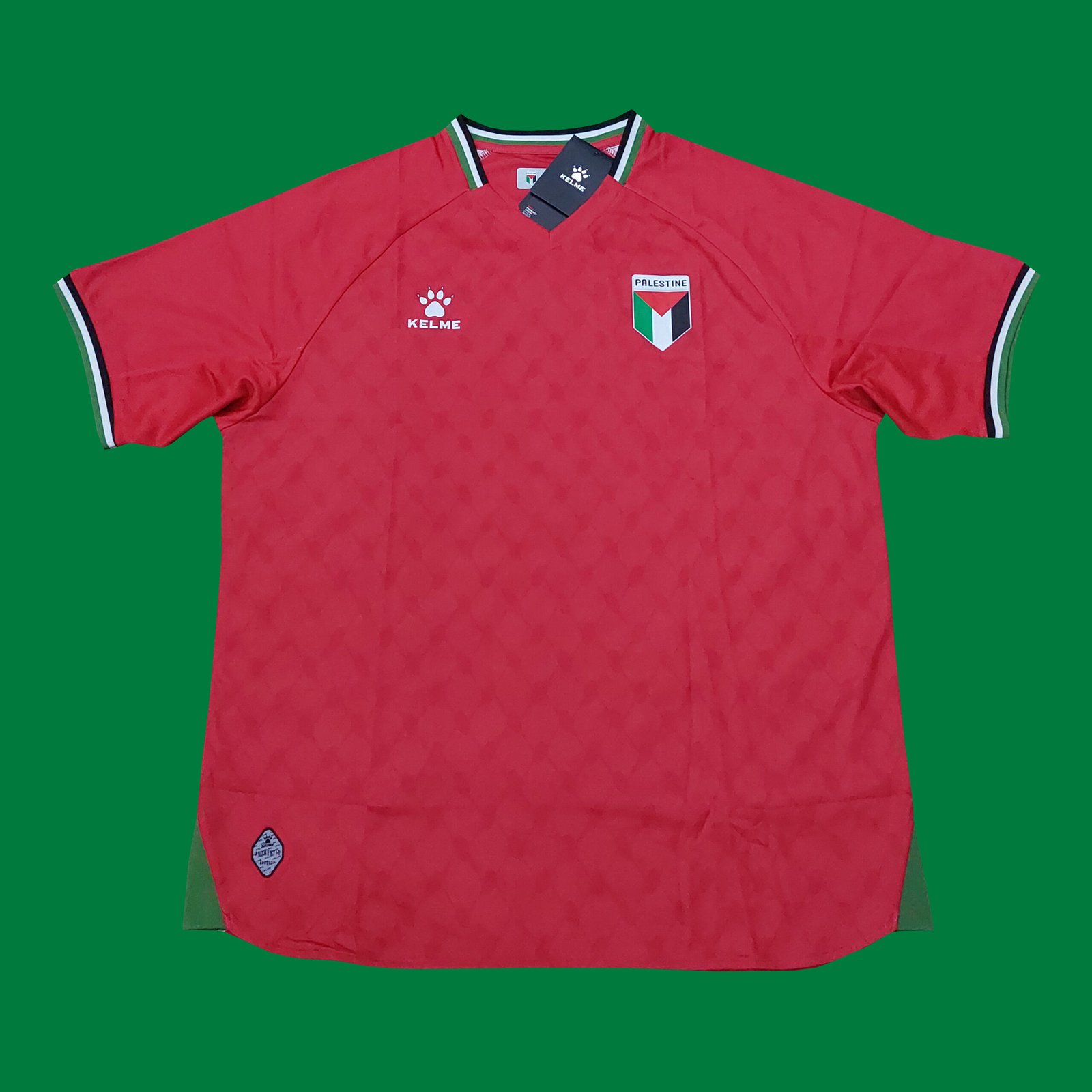 2024 – 25 PALESTINE AWAY SHIRT
