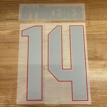 2025 - 26 ARSENAL AWAY CUP NAMESET GYOKERES