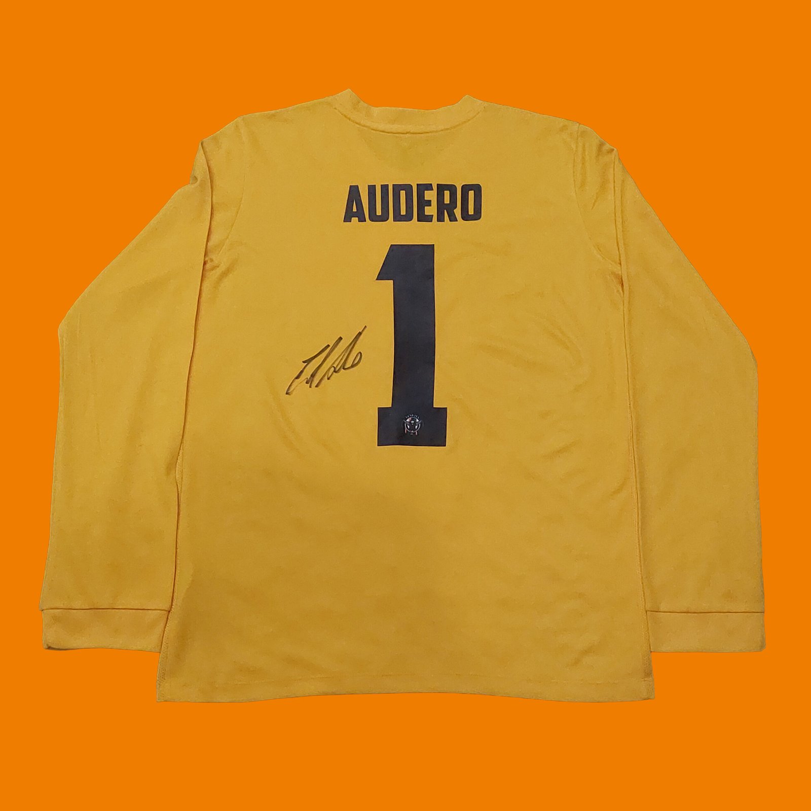 2017 – 18 VENEZIA GK BOYS TEMPLATE SHIRT AUDERO